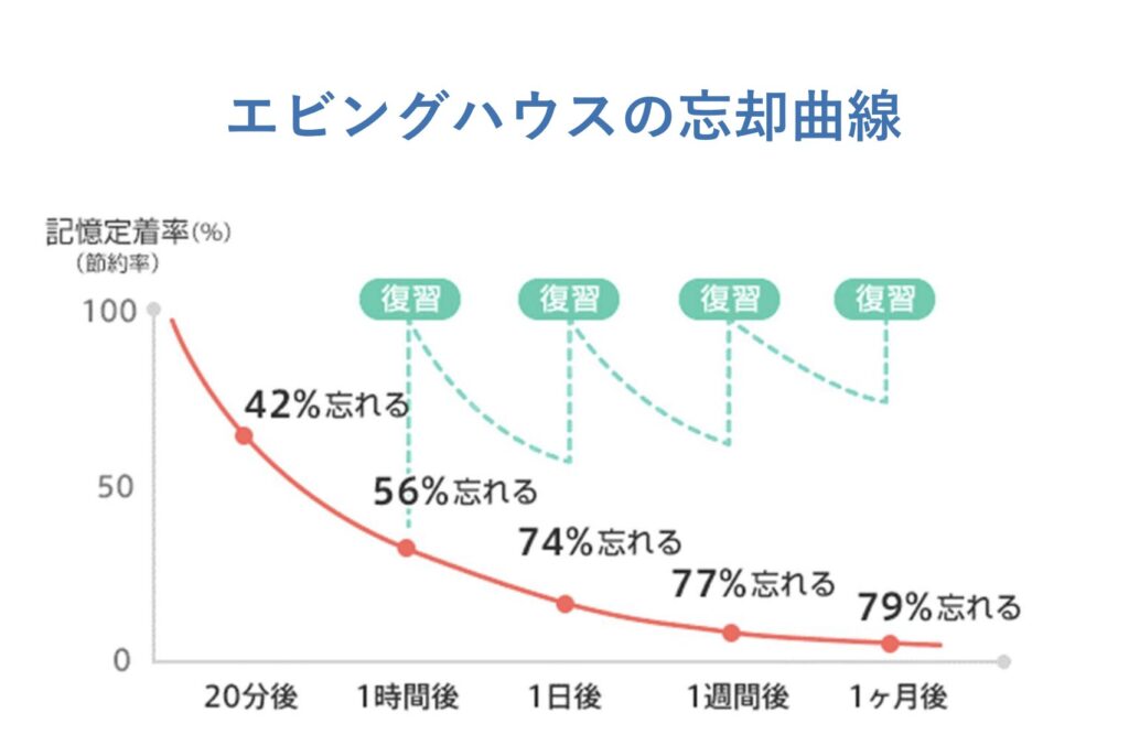 忘却曲線　グラフ